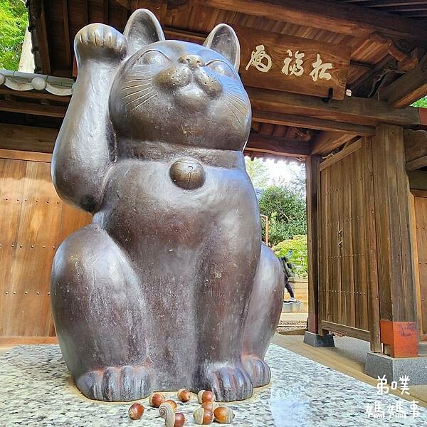 日本【日本‧東京】豪德寺招福貓│限量招福貓，想買只能靠緣分！滿滿招福貓，愛貓的你不要錯過～