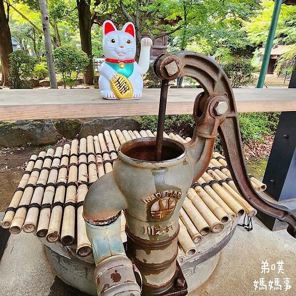 日本【日本‧東京】豪德寺招福貓│限量招福貓，想買只能靠緣分！滿滿招福貓，愛貓的你不要錯過～