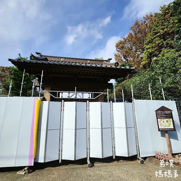 日本【日本‧東京】豪德寺招福貓│限量招福貓，想買只能靠緣分！滿滿招福貓，愛貓的你不要錯過～