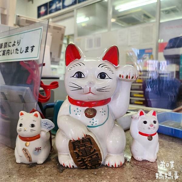 日本【日本‧東京】豪德寺招福貓│限量招福貓，想買只能靠緣分！滿滿招福貓，愛貓的你不要錯過～