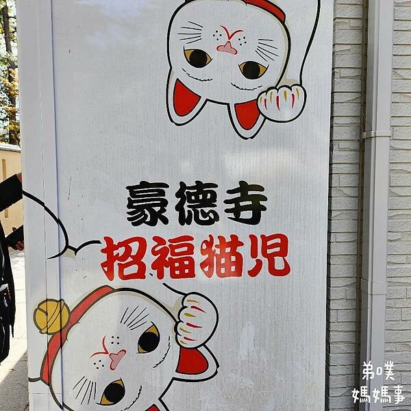 日本【日本‧東京】豪德寺招福貓│限量招福貓，想買只能靠緣分！滿滿招福貓，愛貓的你不要錯過～