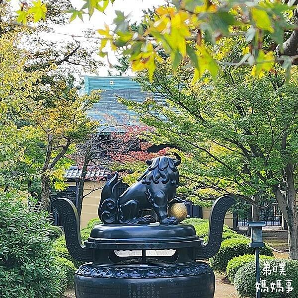 日本【日本‧東京】豪德寺招福貓│限量招福貓，想買只能靠緣分！滿滿招福貓，愛貓的你不要錯過～