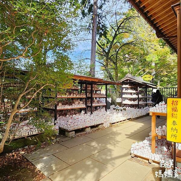 日本【日本‧東京】豪德寺招福貓│限量招福貓，想買只能靠緣分！滿滿招福貓，愛貓的你不要錯過～