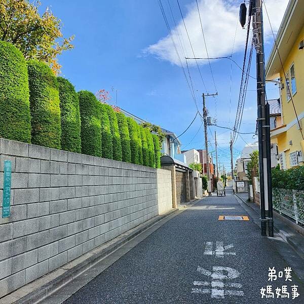 日本【日本‧東京】豪德寺招福貓│限量招福貓，想買只能靠緣分！滿滿招福貓，愛貓的你不要錯過～