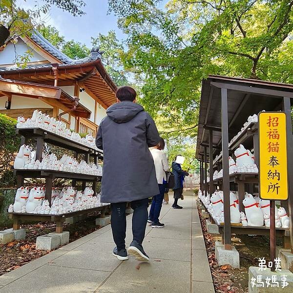 日本【日本‧東京】豪德寺招福貓│限量招福貓，想買只能靠緣分！滿滿招福貓，愛貓的你不要錯過～