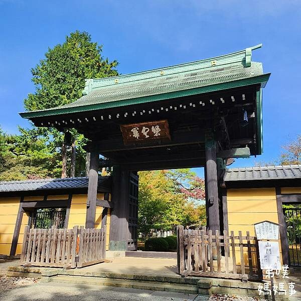 日本【日本‧東京】豪德寺招福貓│限量招福貓，想買只能靠緣分！滿滿招福貓，愛貓的你不要錯過～