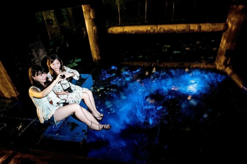 連江縣南竿鄉【2024馬祖藍眼淚】最佳觀賞時間、追淚景點、此生不能錯的藍色眼懶人包