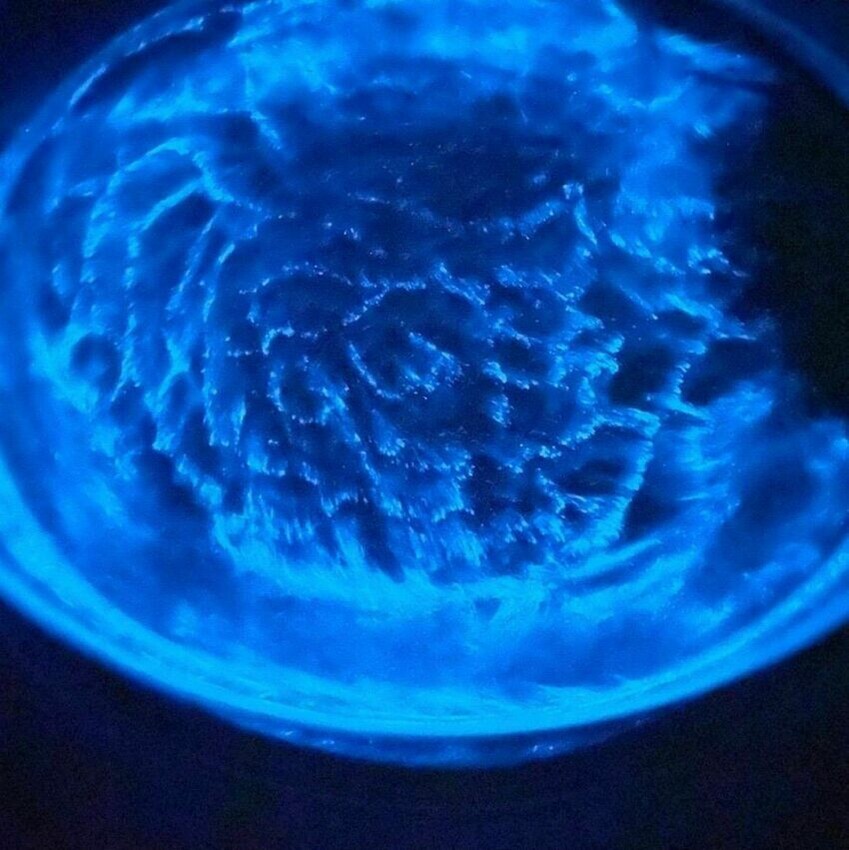 連江縣南竿鄉【2024馬祖藍眼淚】最佳觀賞時間、追淚景點、此生不能錯的藍色眼懶人包