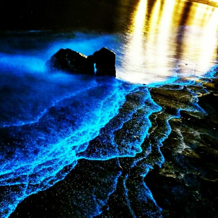 連江縣南竿鄉【2024馬祖藍眼淚】最佳觀賞時間、追淚景點、此生不能錯的藍色眼懶人包