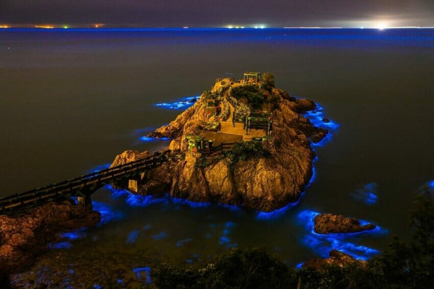 連江縣南竿鄉【2024馬祖藍眼淚】最佳觀賞時間、追淚景點、此生不能錯的藍色眼懶人包