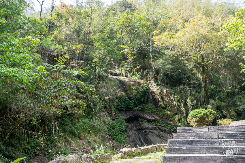 嘉義縣竹崎鄉圓潭自然生態園區 | 嘉義免費旅遊景點，步道輕鬆好走，還能看瀑布～