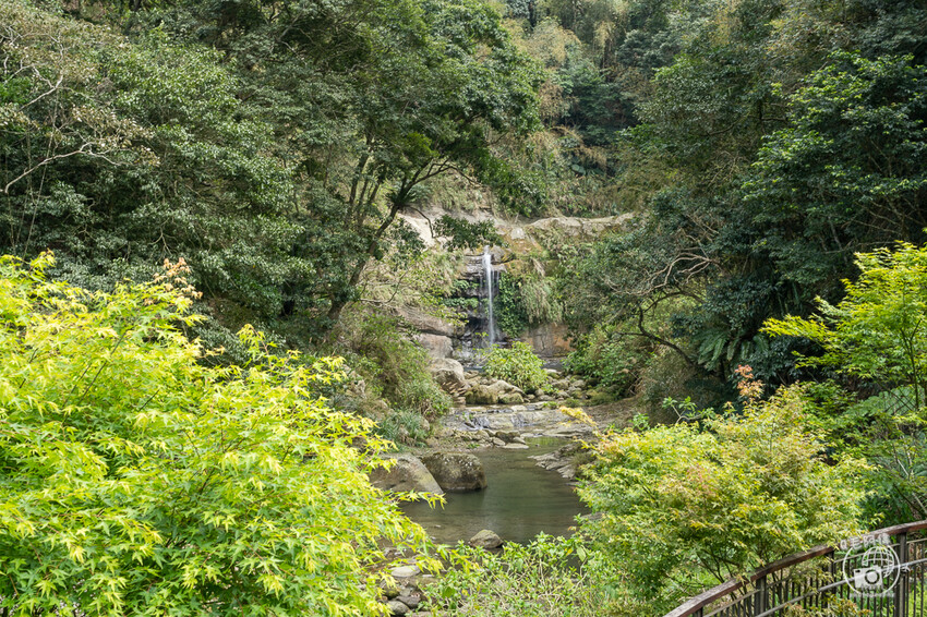 嘉義縣竹崎鄉圓潭自然生態園區 | 嘉義免費旅遊景點，步道輕鬆好走，還能看瀑布～