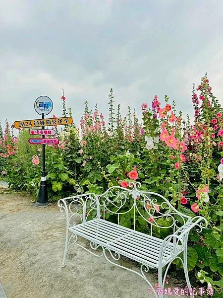 彰化員林.2024員林蜀葵花季 (大明里南區公園) 彰化員林.2024員林蜀葵花季 (大明里南區公園)