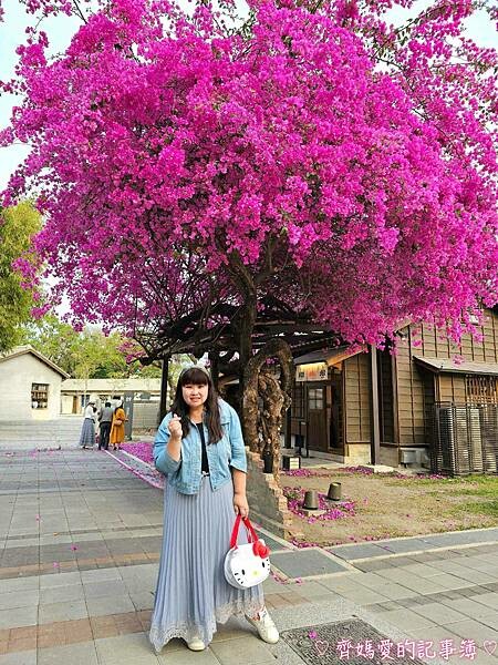 台中．國家漫畫博物館籌備處 / 吳甜 (義式冰淇淋)