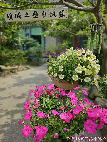 台中潭子．流蘇花園 (預約制 / 流蘇 / 紫藤)