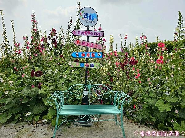 彰化員林.2024員林蜀葵花季 (大明里南區公園) 彰化員林.2024員林蜀葵花季 (大明里南區公園)