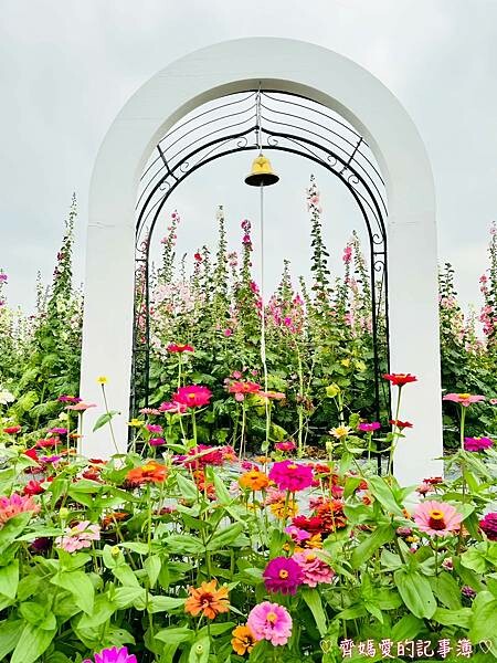 彰化員林.2024員林蜀葵花季 (大明里南區公園) 彰化員林.2024員林蜀葵花季 (大明里南區公園)