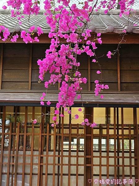 台中．國家漫畫博物館籌備處 / 吳甜 (義式冰淇淋)