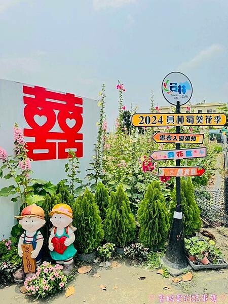 彰化員林.2024員林蜀葵花季 (大明里南區公園) 彰化員林.2024員林蜀葵花季 (大明里南區公園)