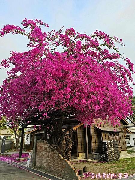台中．國家漫畫博物館籌備處 / 吳甜 (義式冰淇淋)