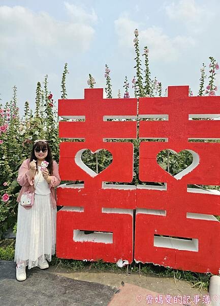 彰化員林.2024員林蜀葵花季 (大明里南區公園) 彰化員林.2024員林蜀葵花季 (大明里南區公園)