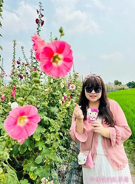 彰化員林.2024員林蜀葵花季 (大明里南區公園) 彰化員林.2024員林蜀葵花季 (大明里南區公園)