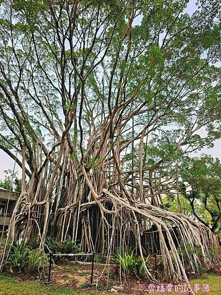 台中．國家漫畫博物館籌備處 / 吳甜 (義式冰淇淋)