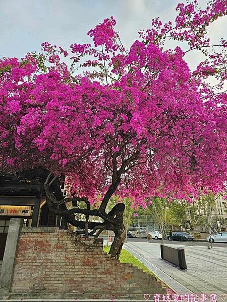 台中．國家漫畫博物館籌備處 / 吳甜 (義式冰淇淋)