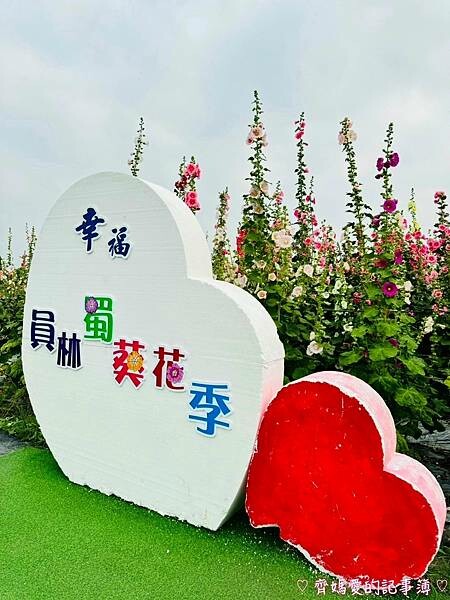 彰化員林.2024員林蜀葵花季 (大明里南區公園) 彰化員林.2024員林蜀葵花季 (大明里南區公園)