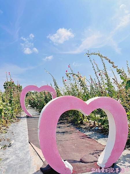 彰化員林.2024員林蜀葵花季 (大明里南區公園) 彰化員林.2024員林蜀葵花季 (大明里南區公園)