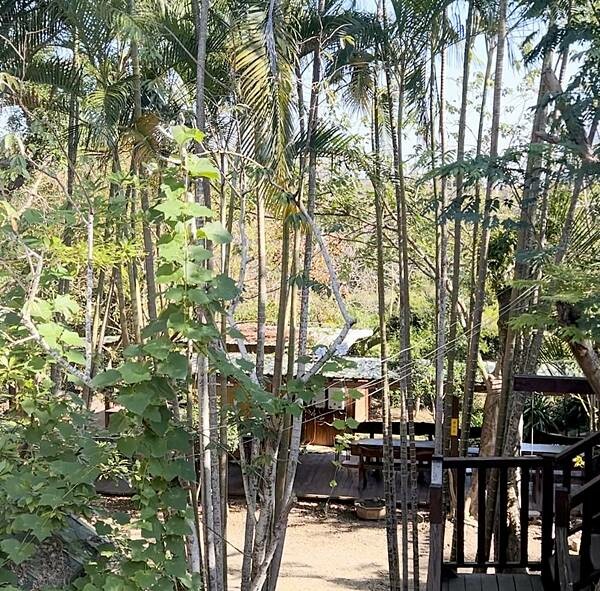 【新竹餐廳推薦】最文藝的咖啡莊園，毛小孩的嬉戲公園！【寵物餐