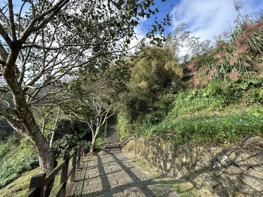 阿里山【小笠原山景觀台】觀日出，初訪秘境【對高岳車站】，漫步