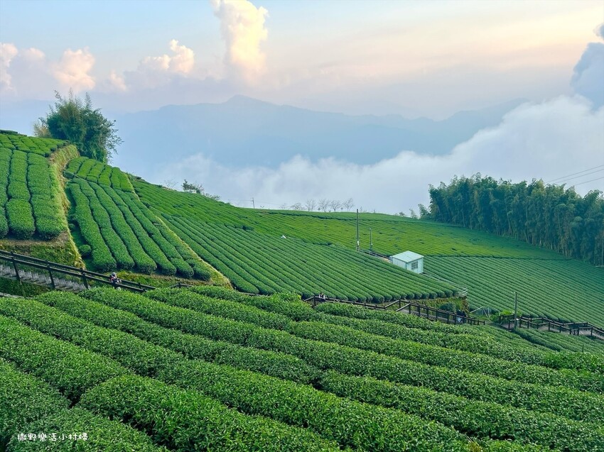 阿里山【小笠原山景觀台】觀日出，初訪秘境【對高岳車站】，漫步