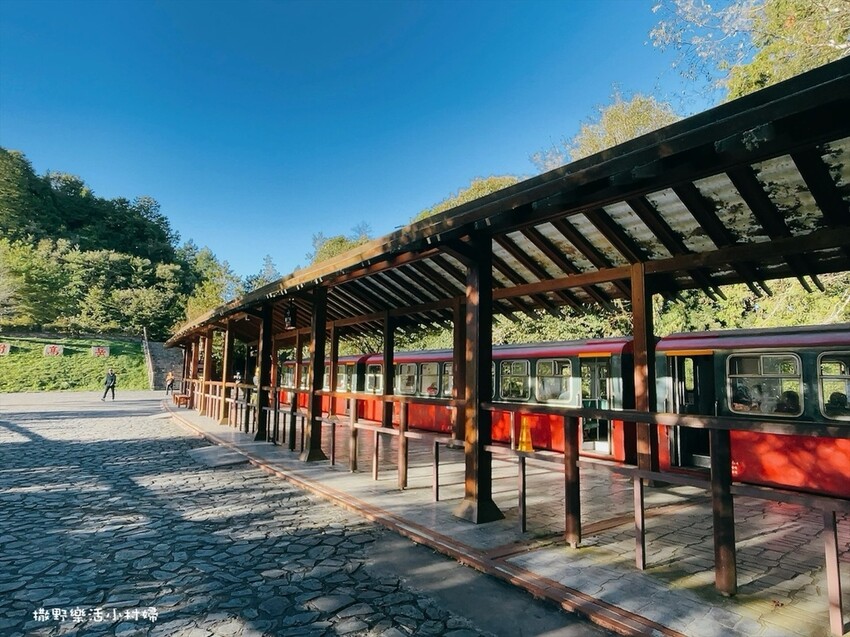 阿里山【小笠原山景觀台】觀日出，初訪秘境【對高岳車站】，漫步