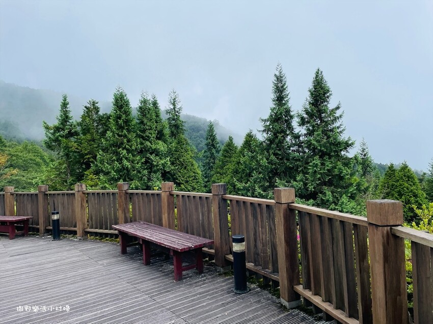 太平山【翠峰山屋】造訪翠峰湖及台灣山毛櫸的最佳休憩點，景色優