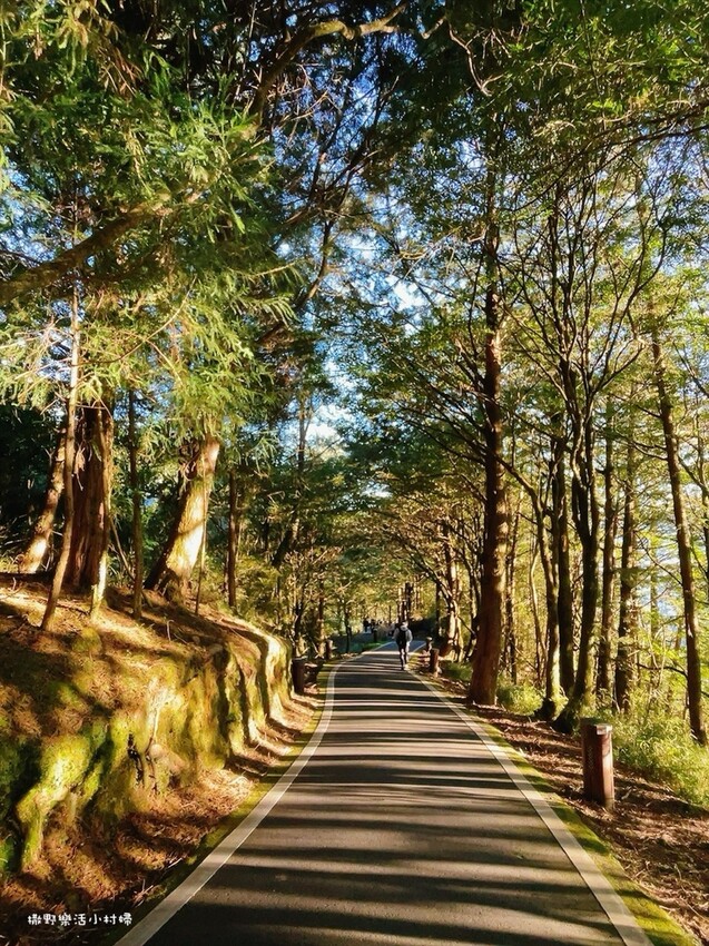 阿里山【小笠原山景觀台】觀日出，初訪秘境【對高岳車站】，漫步