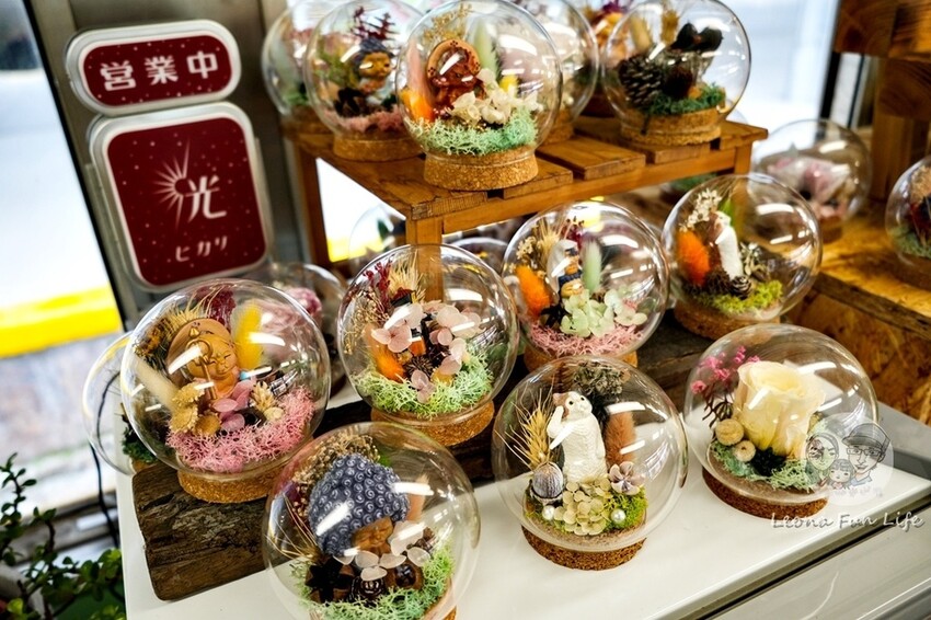 台中新店|微景火車店-DR2700型柴油客車上的綠植小店,多肉觀葉植物還有綠藻球!