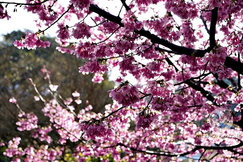 連江縣南竿鄉春遊馬祖三日遊|乘船遊藝術景點、覽人文風情，享特色無菜單料理、私房美食|南竿北竿玩起來