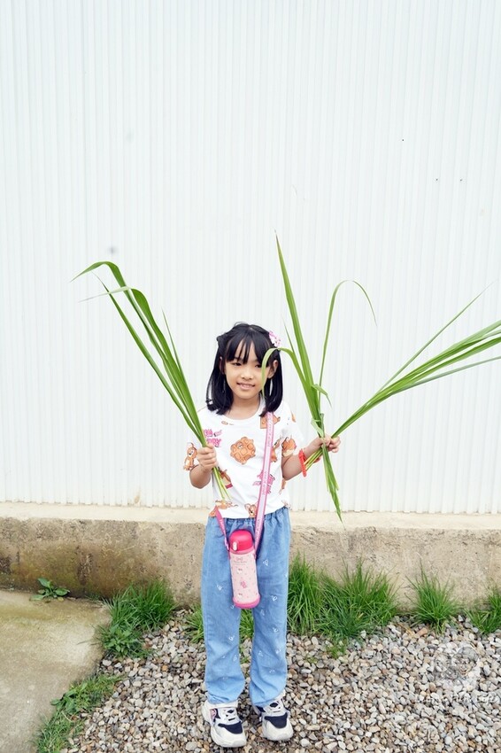 新竹市香山區新竹親子景點|廢物媽媽育兒農場-預約制熱門景點，和可愛水豚、柯爾鴨、笑笑羊近距離接觸!