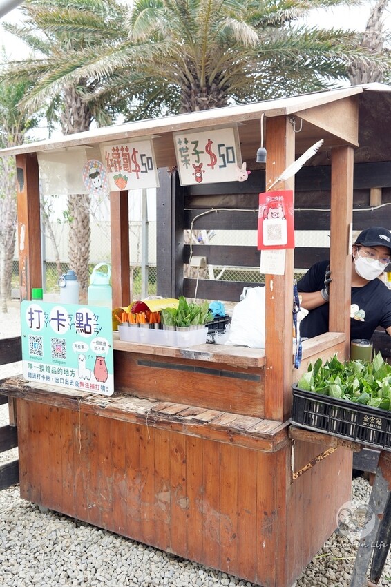 新竹市香山區新竹親子景點|廢物媽媽育兒農場-預約制熱門景點，和可愛水豚、柯爾鴨、笑笑羊近距離接觸!