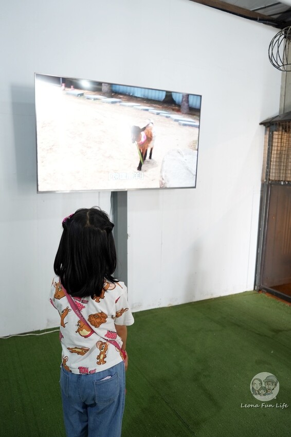 新竹市香山區新竹親子景點|廢物媽媽育兒農場-預約制熱門景點，和可愛水豚、柯爾鴨、笑笑羊近距離接觸!