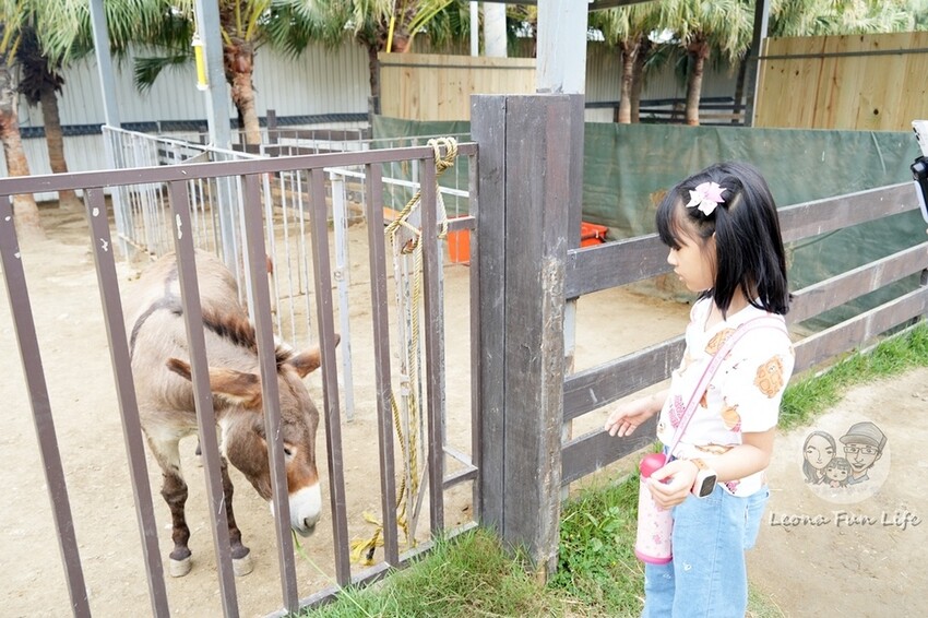 新竹市香山區新竹親子景點|廢物媽媽育兒農場-預約制熱門景點，和可愛水豚、柯爾鴨、笑笑羊近距離接觸!