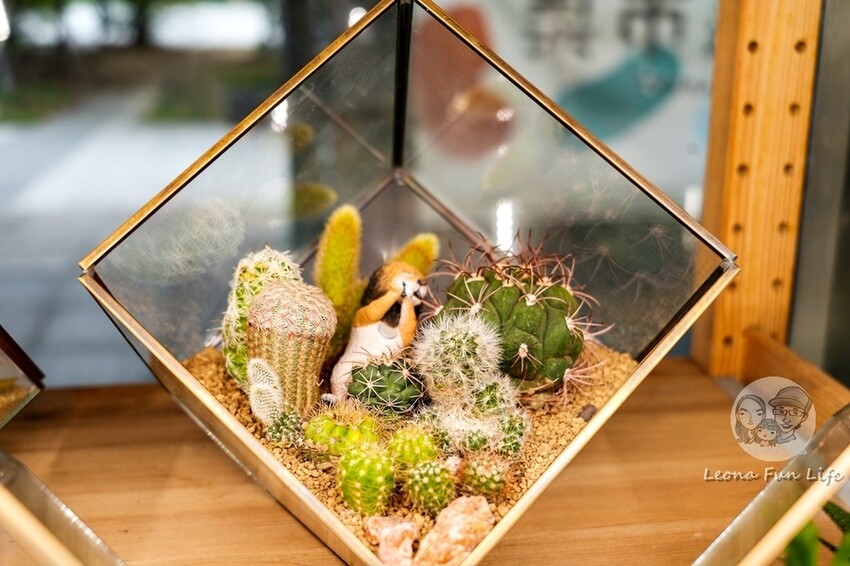 台中新店|微景火車店-DR2700型柴油客車上的綠植小店,多肉觀葉植物還有綠藻球!