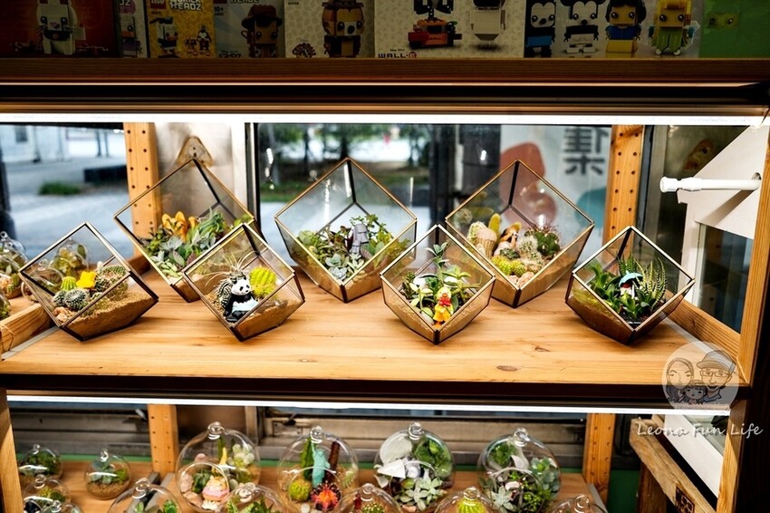 台中新店|微景火車店-DR2700型柴油客車上的綠植小店,多肉觀葉植物還有綠藻球!