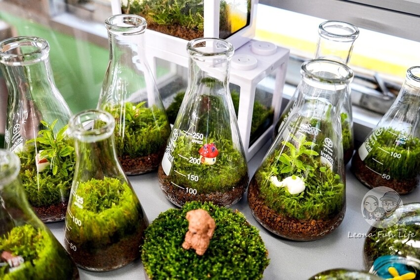 台中新店|微景火車店-DR2700型柴油客車上的綠植小店,多肉觀葉植物還有綠藻球!