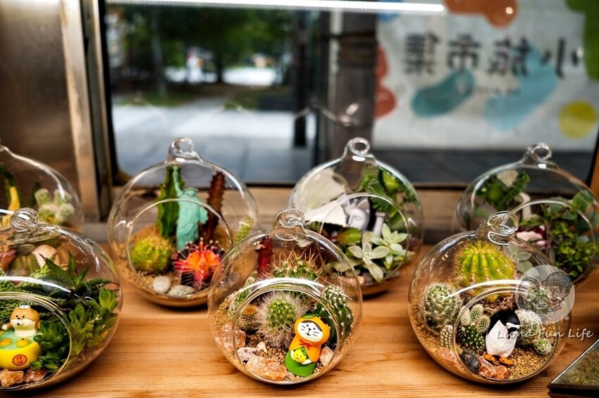 台中新店|微景火車店-DR2700型柴油客車上的綠植小店,多肉觀葉植物還有綠藻球!