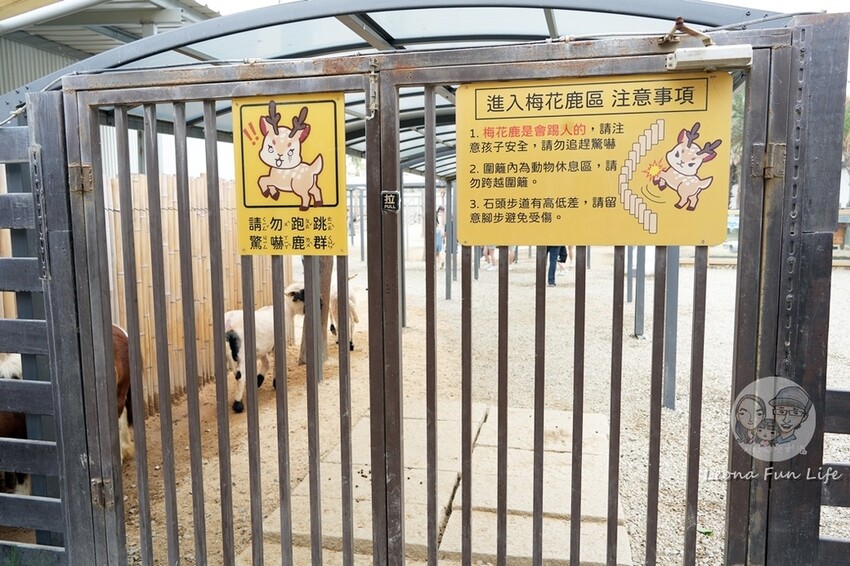 新竹市香山區新竹親子景點|廢物媽媽育兒農場-預約制熱門景點，和可愛水豚、柯爾鴨、笑笑羊近距離接觸!