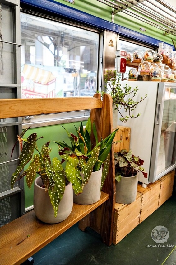 台中新店|微景火車店-DR2700型柴油客車上的綠植小店,多肉觀葉植物還有綠藻球!
