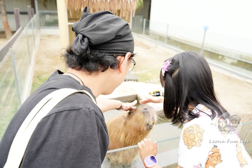 新竹市香山區新竹親子景點|廢物媽媽育兒農場-預約制熱門景點，和可愛水豚、柯爾鴨、笑笑羊近距離接觸!