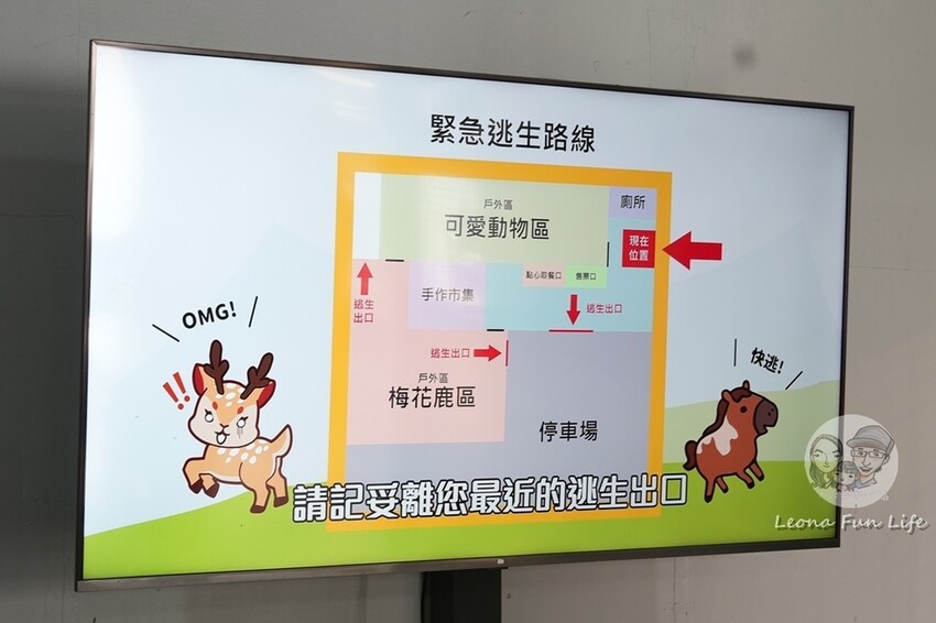 新竹市香山區新竹親子景點|廢物媽媽育兒農場-預約制熱門景點，和可愛水豚、柯爾鴨、笑笑羊近距離接觸!